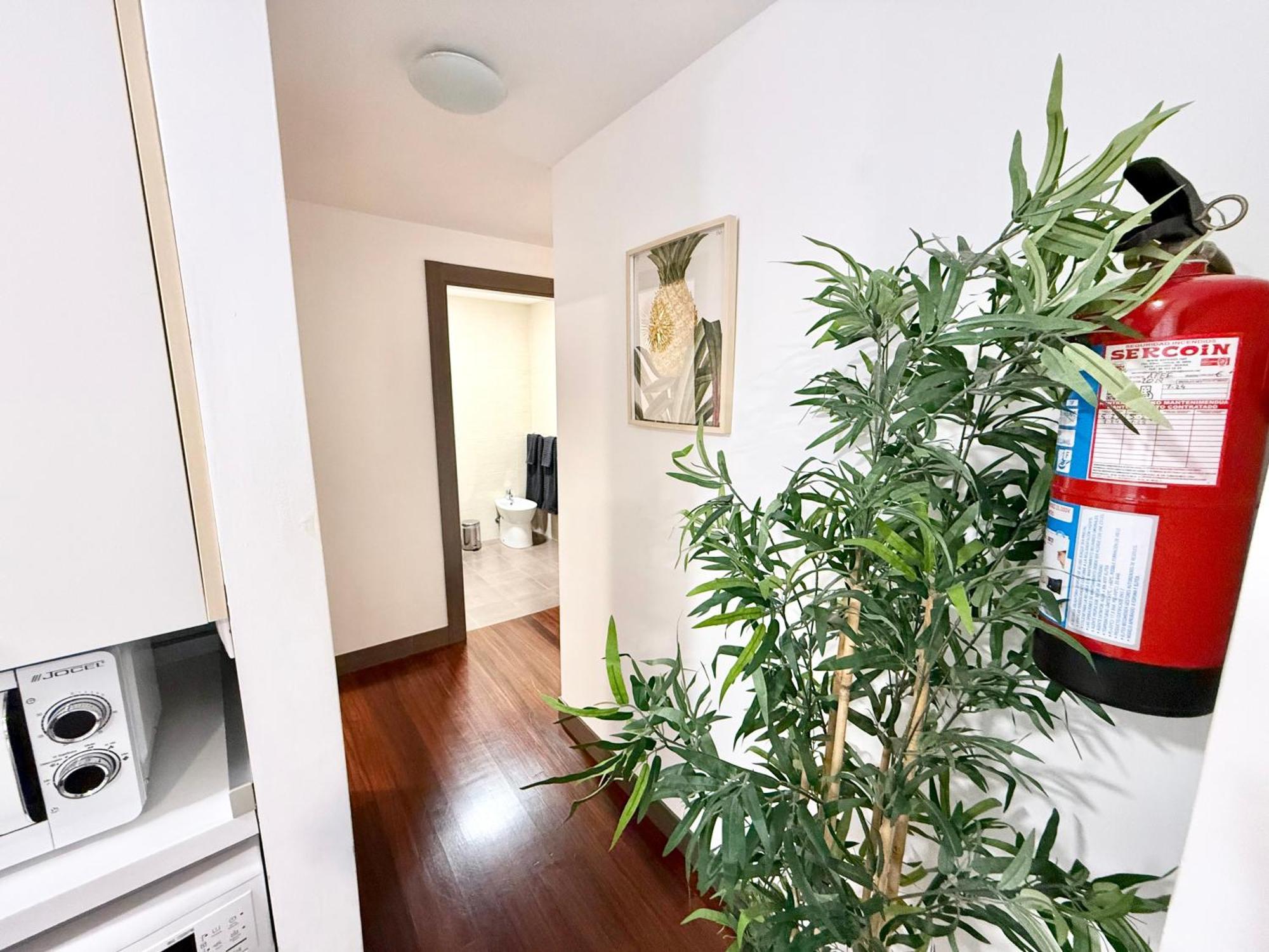 קסטרו אורדיאלס Castro Holidays - Centrico Piscina Urbanizacion Garaje Gratis מראה חיצוני תמונה